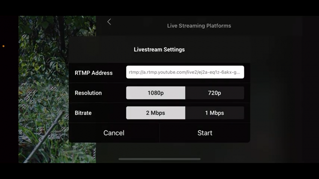 Mavic 3 Livestream - How to Guide (Explained for Beginners) - Droneblog