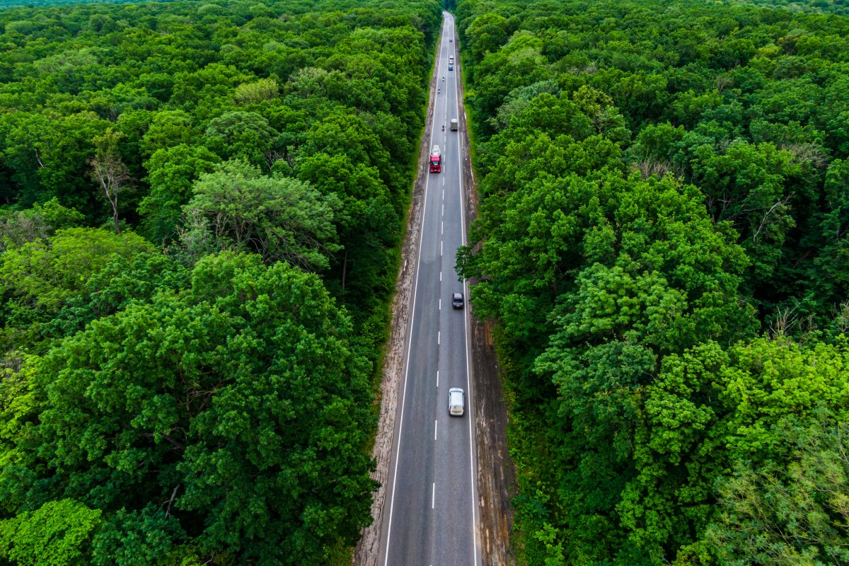 Can You Fly a Drone in Light Rain? Droneblog