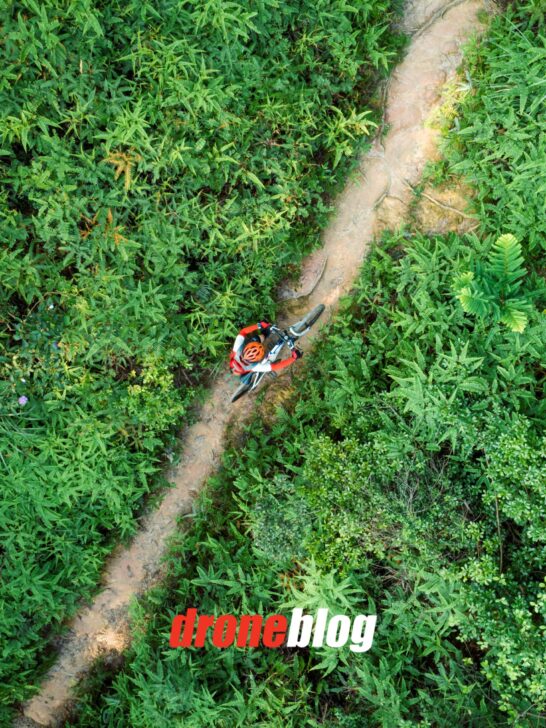 DJI Mini 3 - Beginner's Guide - Droneblog