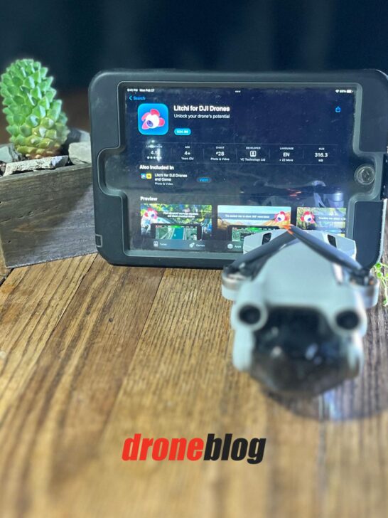 Does DJI Smart Controller Work with Mini 3 Pro (Explained) Droneblog