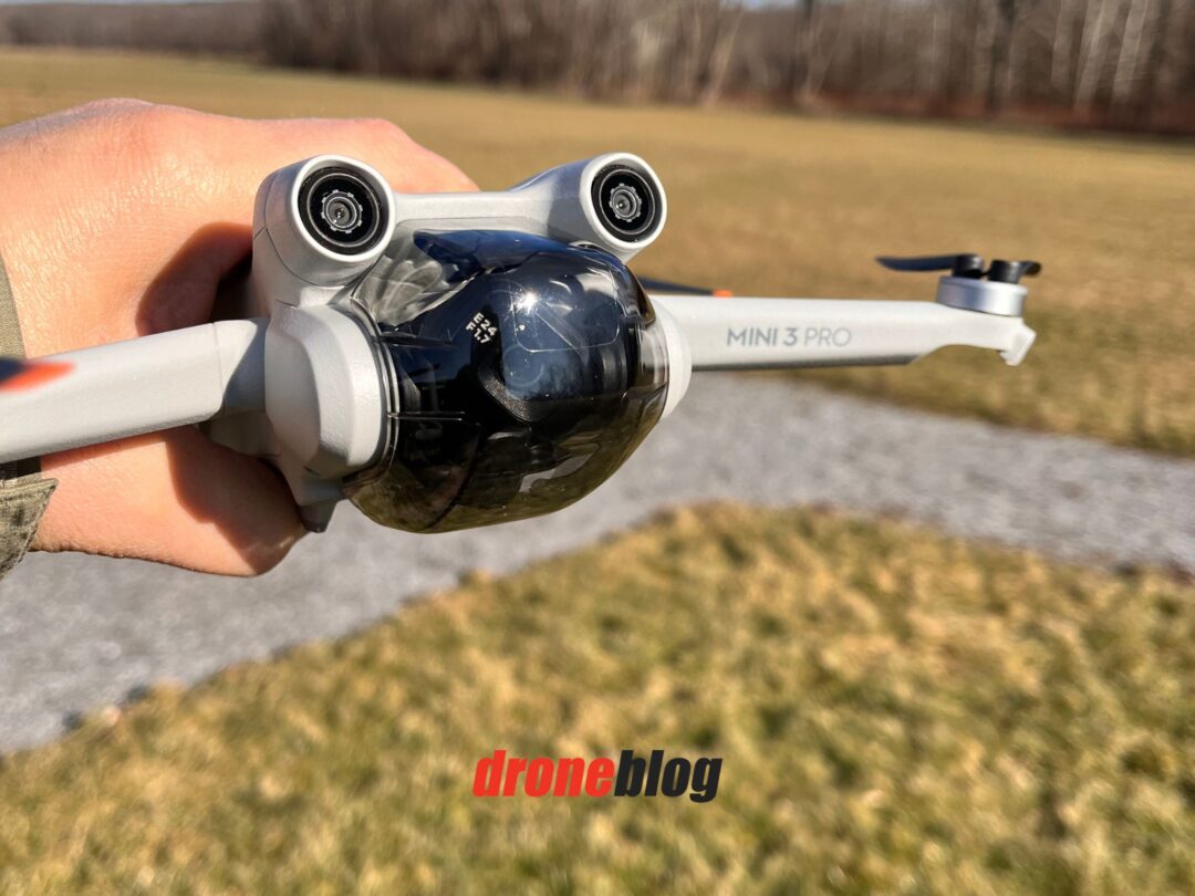 DJI Mini 3 vs. Mini 3 Pro (Which Drone Is Better?) Droneblog