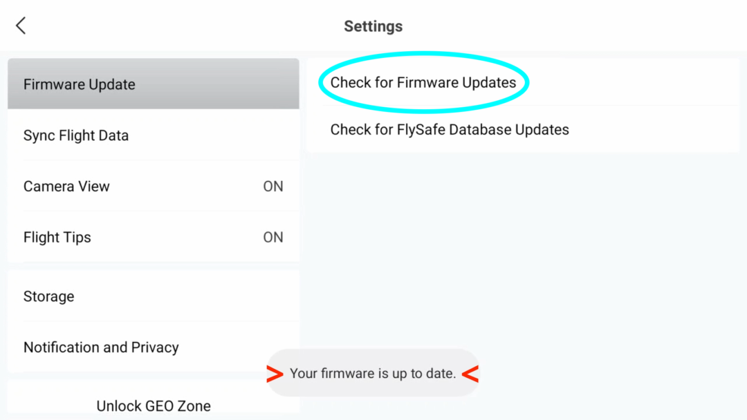 DJI MINI 4K HACKED FIRMWARE visual data 5